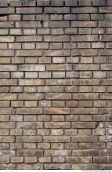 Photo Textures of Wall Bricks